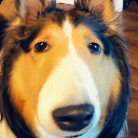 Meet your Posher, Kevin - Picture 1 of 1